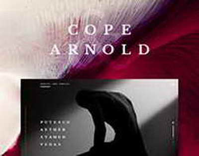 Наушники Honor Choice Headphones Lite с временем автономной работы 82 часа поступили в продажу